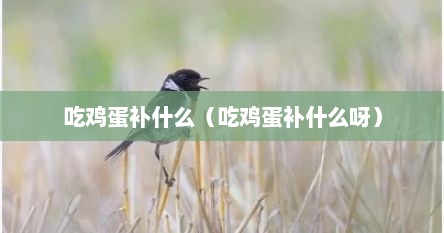 吃鸡蛋补什么（吃鸡蛋补什么呀）