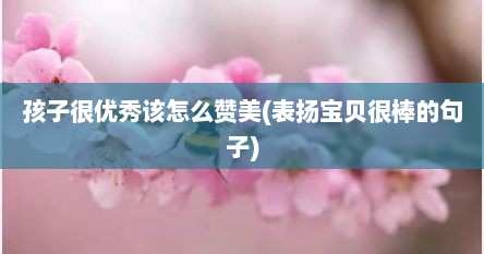 孩子很优秀该怎么赞美(表扬宝贝很棒的句子)
