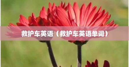 救护车英语（救护车英语单词）