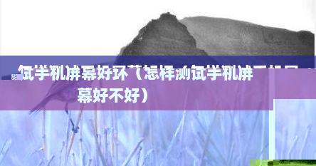 怎样测试手机屏幕好坏（怎样测试手机屏幕好不好）