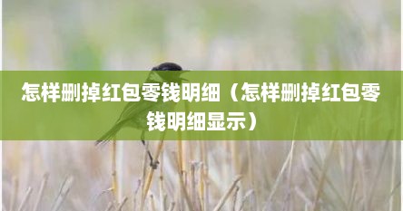 怎样删掉红包零钱明细（怎样删掉红包零钱明细显示）
