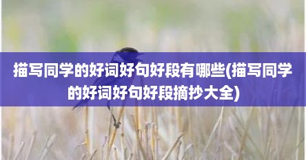 描写同学的好词好句好段有哪些(描写同学的好词好句好段摘抄大全)