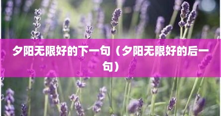 夕阳无限好的下一句（夕阳无限好的后一句）