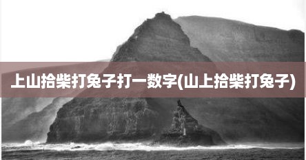 上山拾柴打兔子打一数字(山上拾柴打兔子)