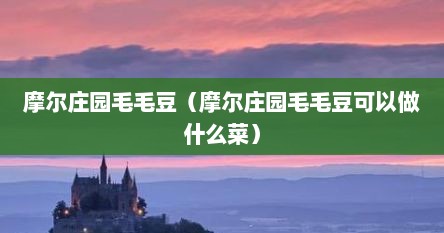 摩尔庄园毛毛豆（摩尔庄园毛毛豆可以做什么菜）