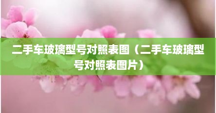 二手车玻璃型号对照表图（二手车玻璃型号对照表图片）