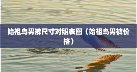 始祖鸟男裤尺寸对照表图（始祖鸟男裤价格）