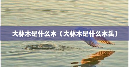 大林木是什么木（大林木是什么木头）
