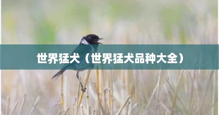 世界猛犬（世界猛犬品种大全）