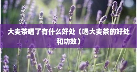 大麦茶喝了有什么好处（喝大麦茶的好处和功效）