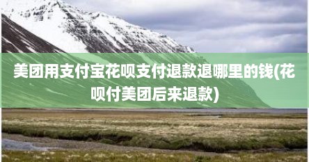 美团用支付宝花呗支付退款退哪里的钱(花呗付美团后来退款)