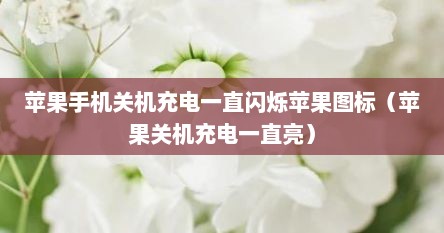 苹果手机关机充电一直闪烁苹果图标（苹果关机充电一直亮）