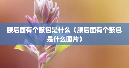 腰后面有个鼓包是什么（腰后面有个鼓包是什么图片）