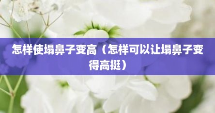 怎样使塌鼻子变高（怎样可以让塌鼻子变得高挺）