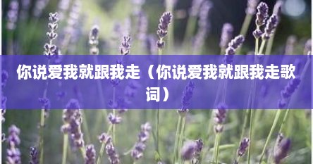 你说爱我就跟我走（你说爱我就跟我走歌词）