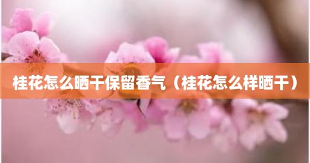 桂花怎么晒干保留香气（桂花怎么样晒干）
