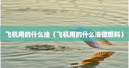 飞机用的什么油（飞机用的什么油做燃料）