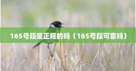 165号段是正规的吗（165号段可靠吗）