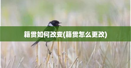 籍贯如何改变(籍贯怎么更改)