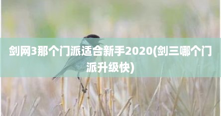 剑网3那个门派适合新手2020(剑三哪个门派升级快)