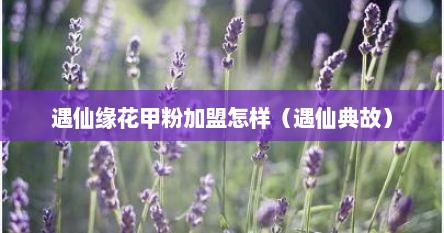 遇仙缘花甲粉加盟怎样（遇仙典故）