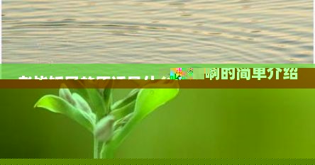 老毕饭局的原话是什么视频啊的简单介绍