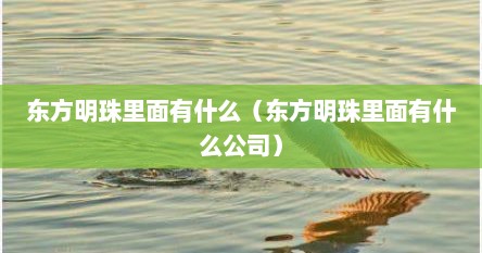 东方明珠里面有什么（东方明珠里面有什么公司）