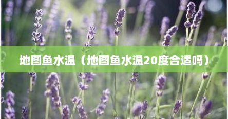 地图鱼水温（地图鱼水温20度合适吗）