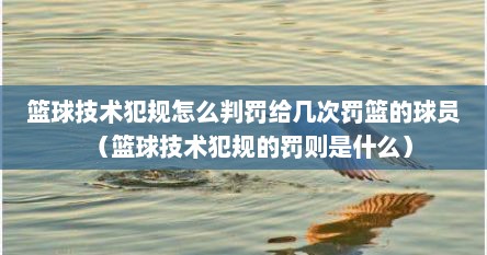 篮球技术犯规怎么判罚给几次罚篮的球员(篮球技术犯规的罚则是什么)