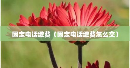 固定电话缴费（固定电话缴费怎么交）
