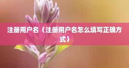 注册用户名（注册用户名怎么填写正确方式）
