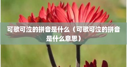 可歌可泣的拼音是什么（可歌可泣的拼音是什么意思）