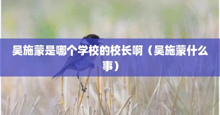 吴施蒙是哪个学校的校长啊（吴施蒙什么事）