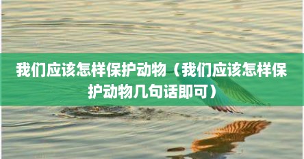 我们应该怎样保护动物（我们应该怎样保护动物几句话即可）