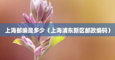 上海邮编是多少（上海浦东新区邮政编码）
