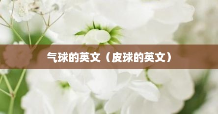 气球的英文（皮球的英文）