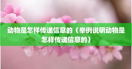动物是怎样传递信息的（举例说明动物是怎样传递信息的）