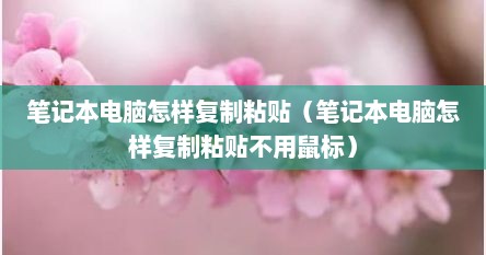 笔记本电脑怎样复制粘贴（笔记本电脑怎样复制粘贴不用鼠标）