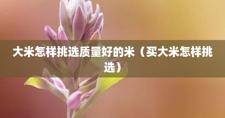 大米怎样挑选质量好的米（买大米怎样挑选）