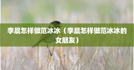 李晨怎样做范冰冰（李晨怎样做范冰冰的女朋友）