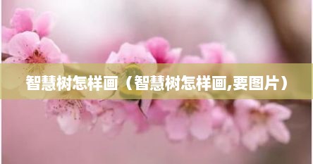 智慧树怎样画（智慧树怎样画,要图片）
