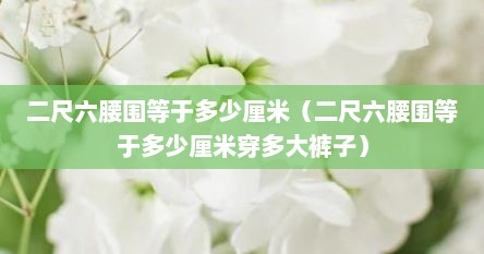 二尺六腰围等于多少厘米（二尺六腰围等于多少厘米穿多大裤子）