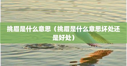 挑眉是什么意思（挑眉是什么意思坏处还是好处）