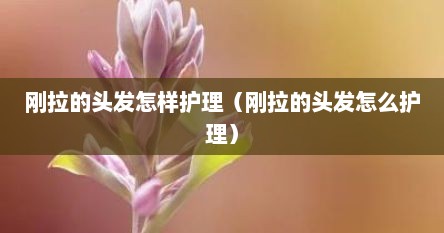 刚拉的头发怎样护理（刚拉的头发怎么护理）