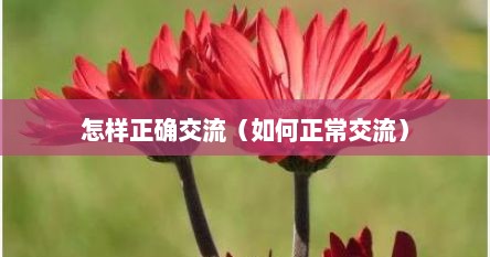 怎样正确交流（如何正常交流）