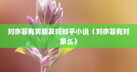 刘亦菲有男朋友吗知乎小说（刘亦菲有对象么）