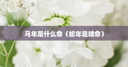 马年是什么命（蛇年是啥命）