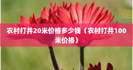 农村打井20米价格多少钱（农村打井100米价格）