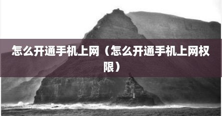 怎么开通手机上网（怎么开通手机上网权限）
