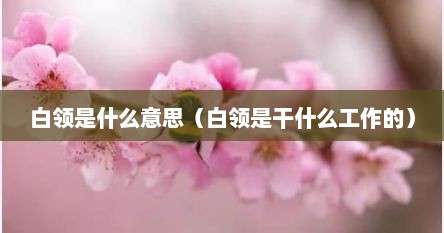 白领是什么意思（白领是干什么工作的）